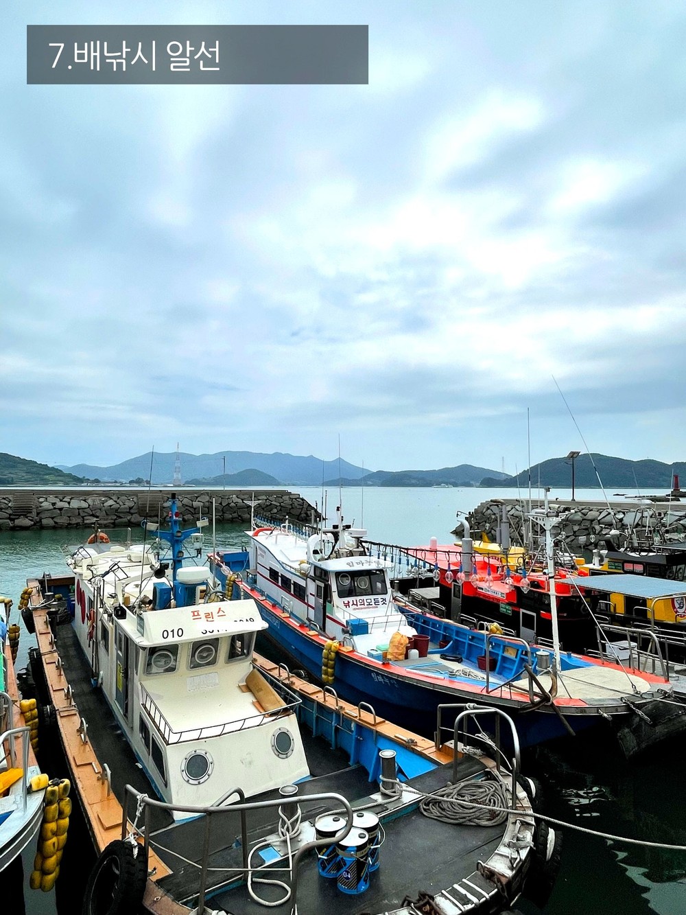 배낚시알선