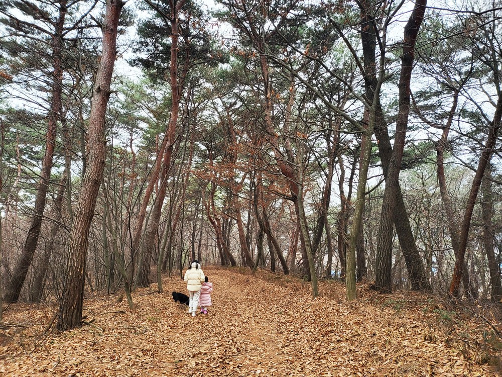 산책길