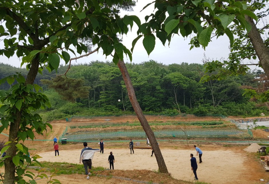 족구장
