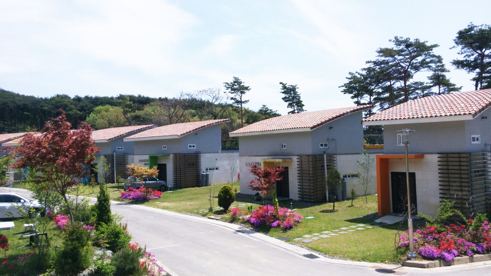 단지 정경