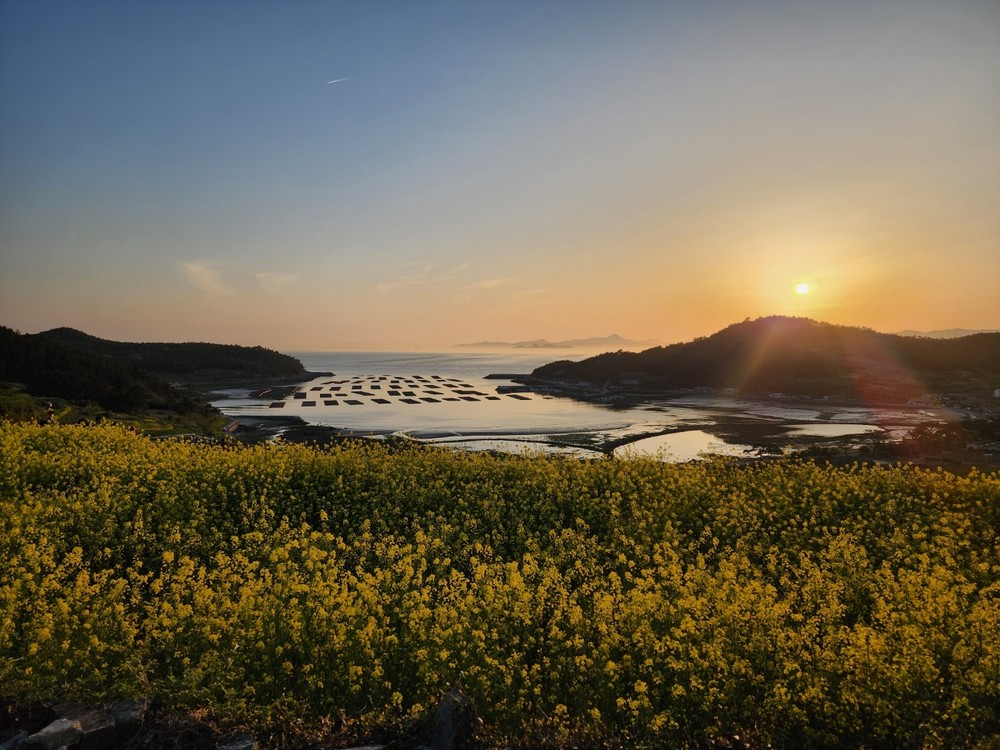 청산도 당리 서편제 노을
