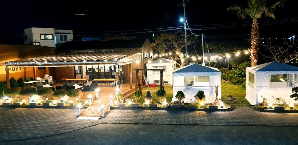 바다전망 포토죤, 그네, 해먹, 힐링쉼터 ,농구대 무엇보다더 이국적인 야자수가 펜션 잔디마당에 잘 꾸며져 있어요~~