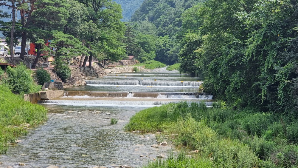 펜션 바로앞 계곡
