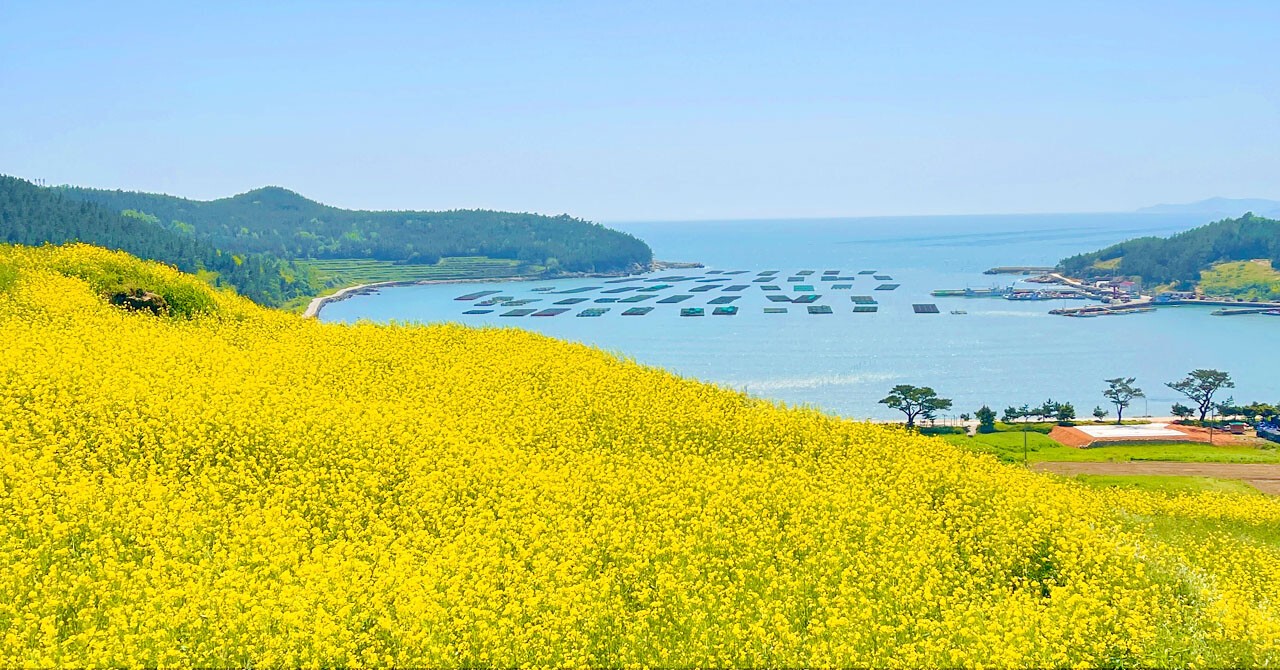 전라완도청산도바다풍경