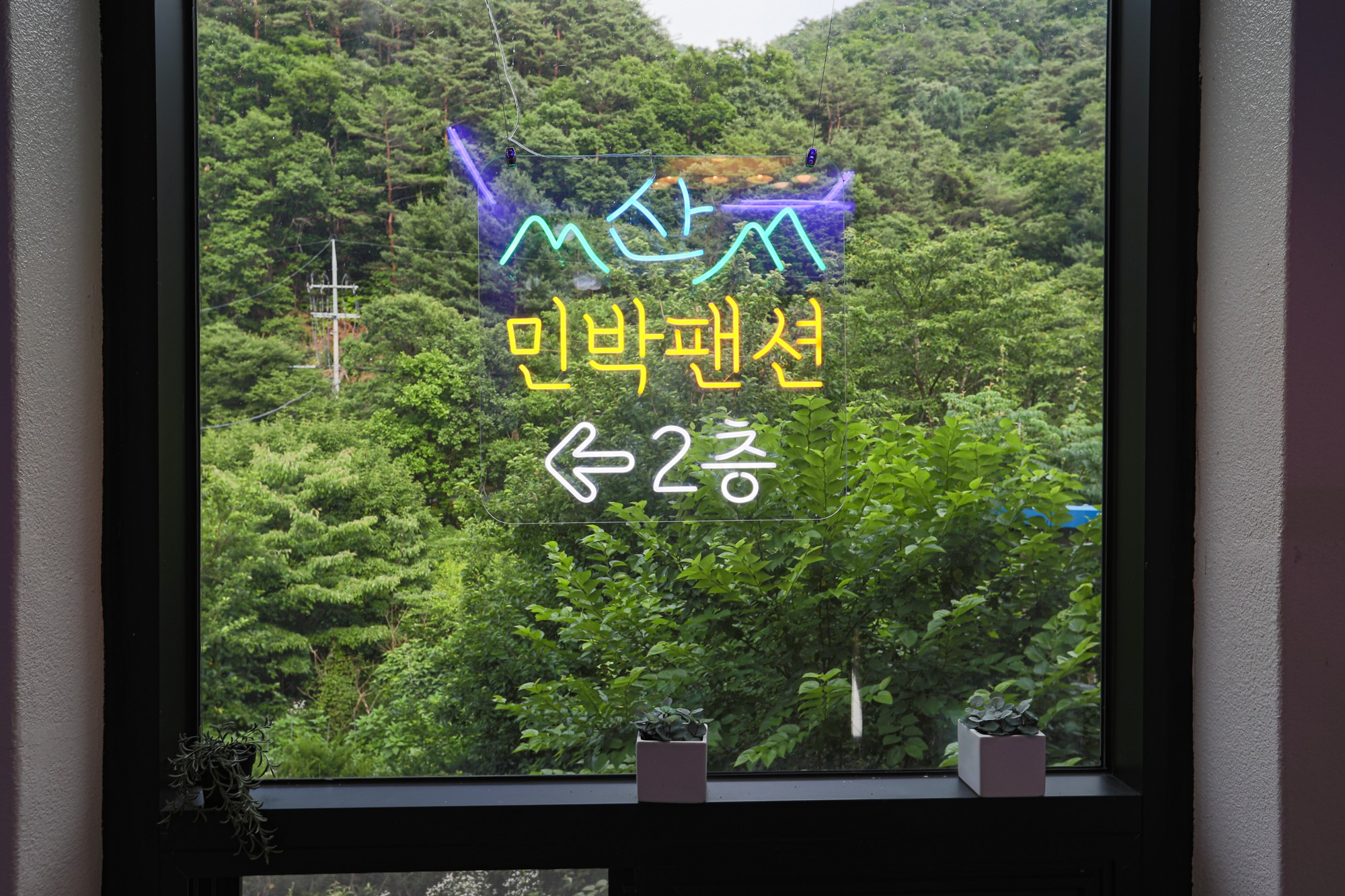 강원 산민박