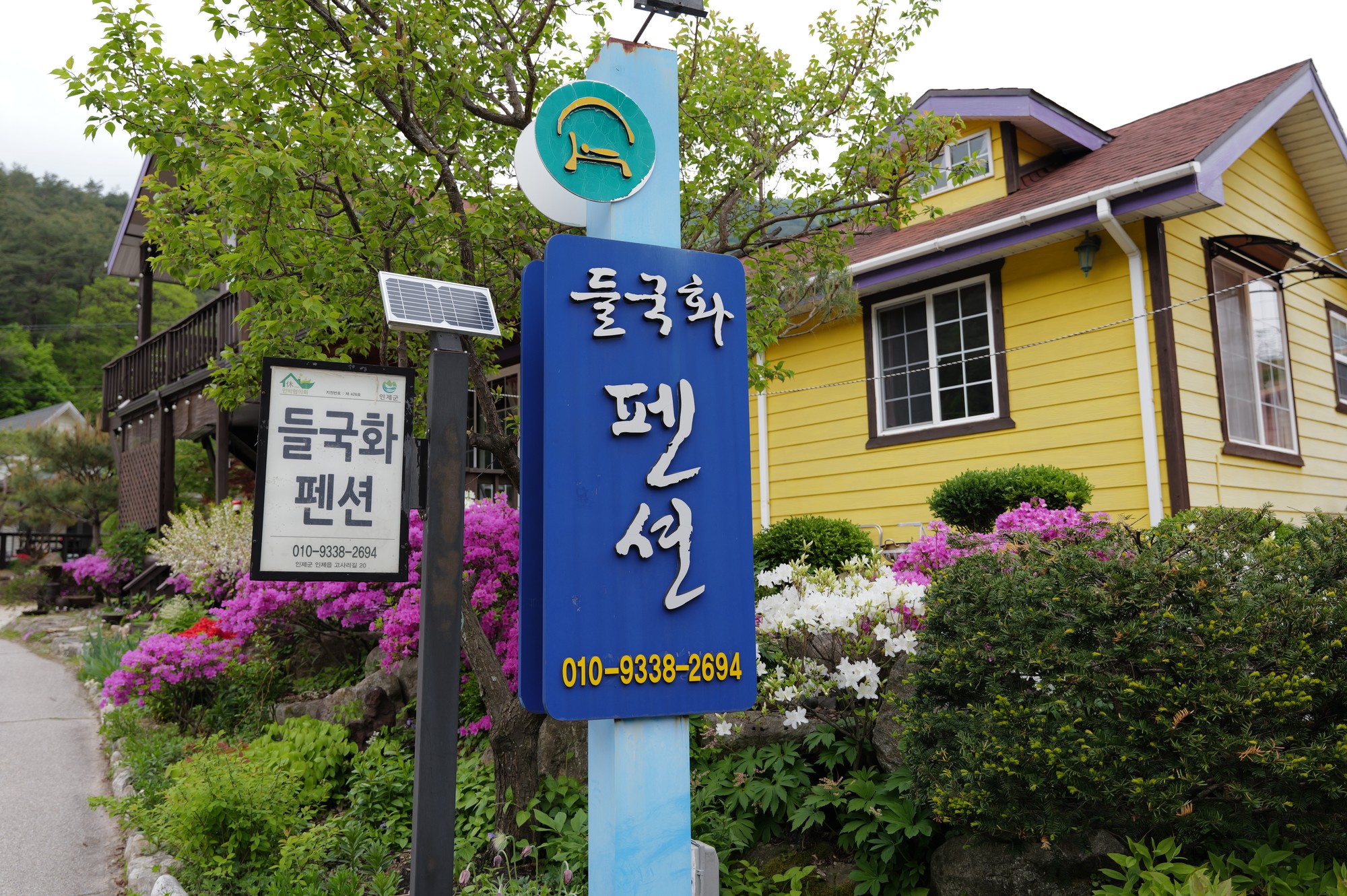 들국화펜션