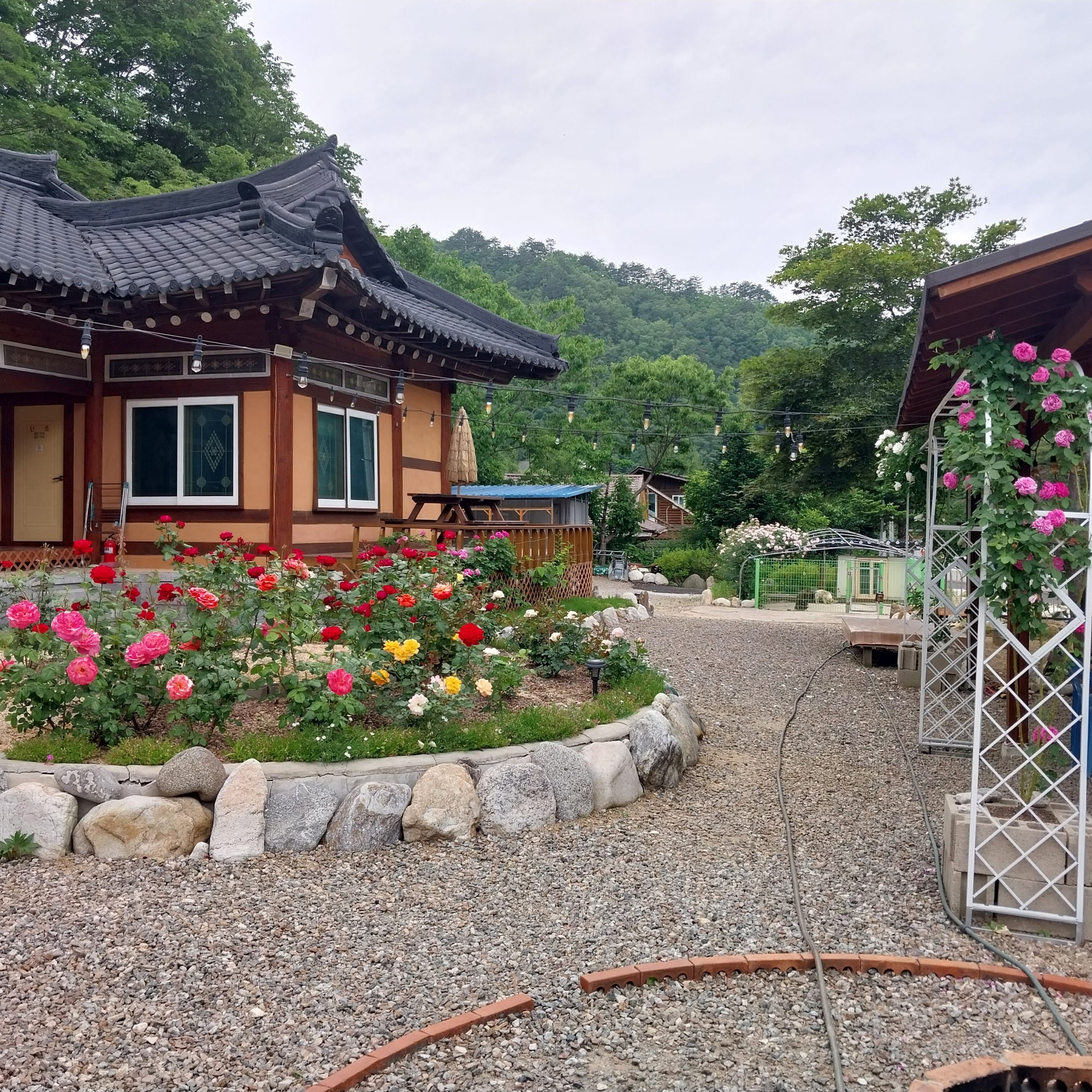 양양 하늘천따지