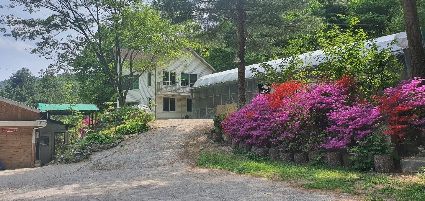 화천 신토불이 펜션