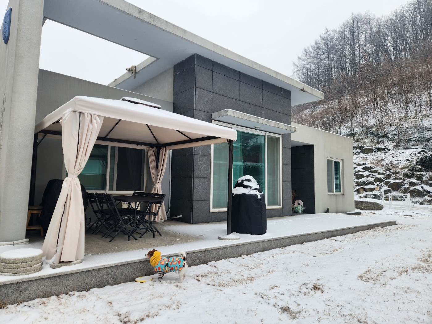 연천 코쿠멍 애견 펜션