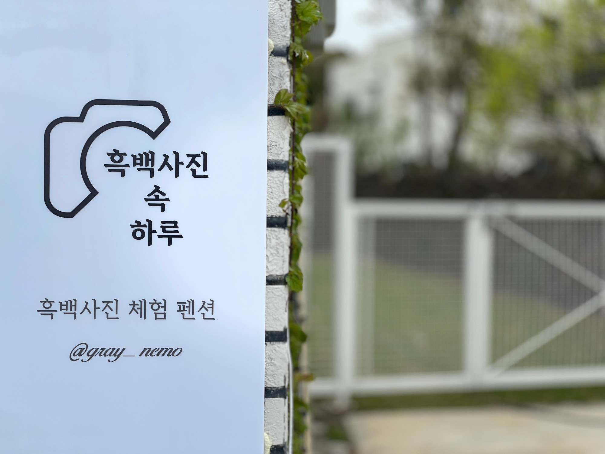 제주 흑백사진속 하루