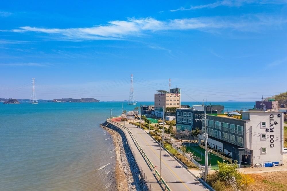 영흥도 글램독