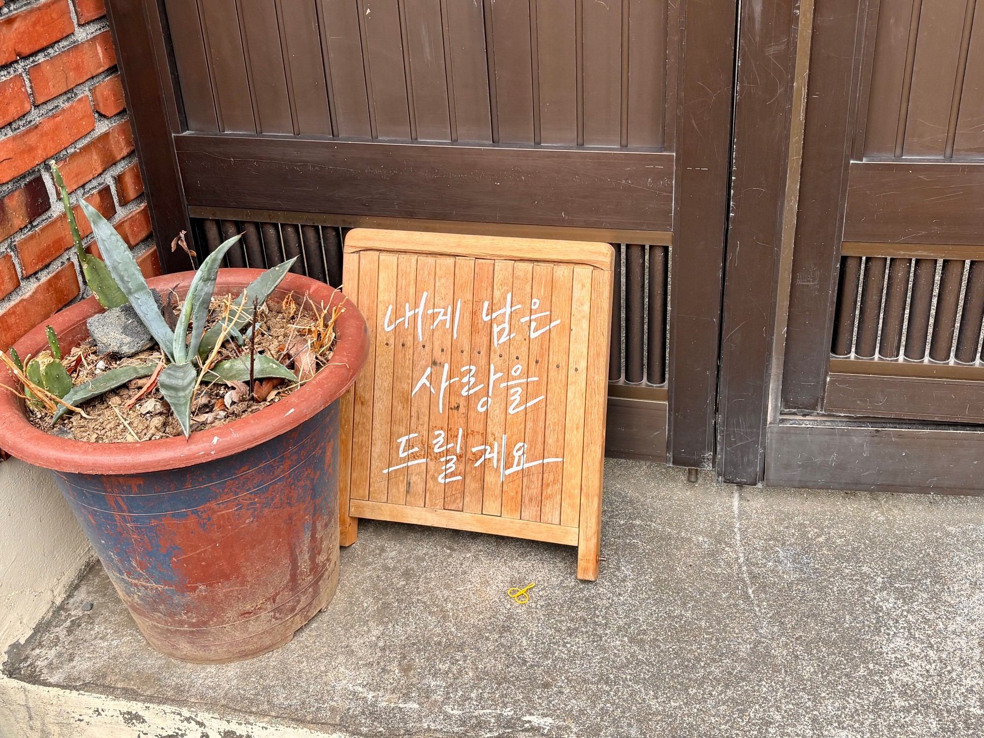 제주 내게 남은 사랑을 드릴께요
