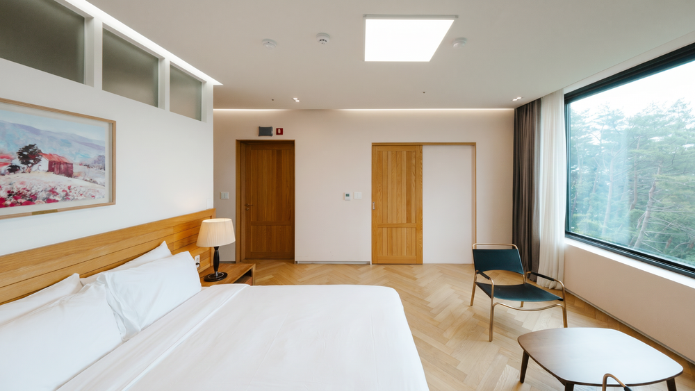 Suite Room (Room only)