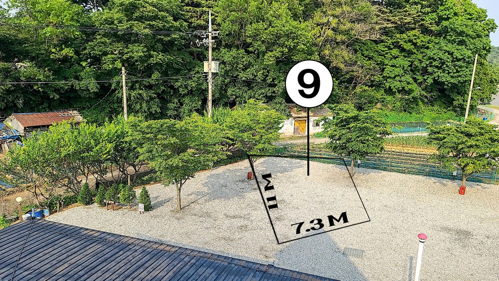 site 09