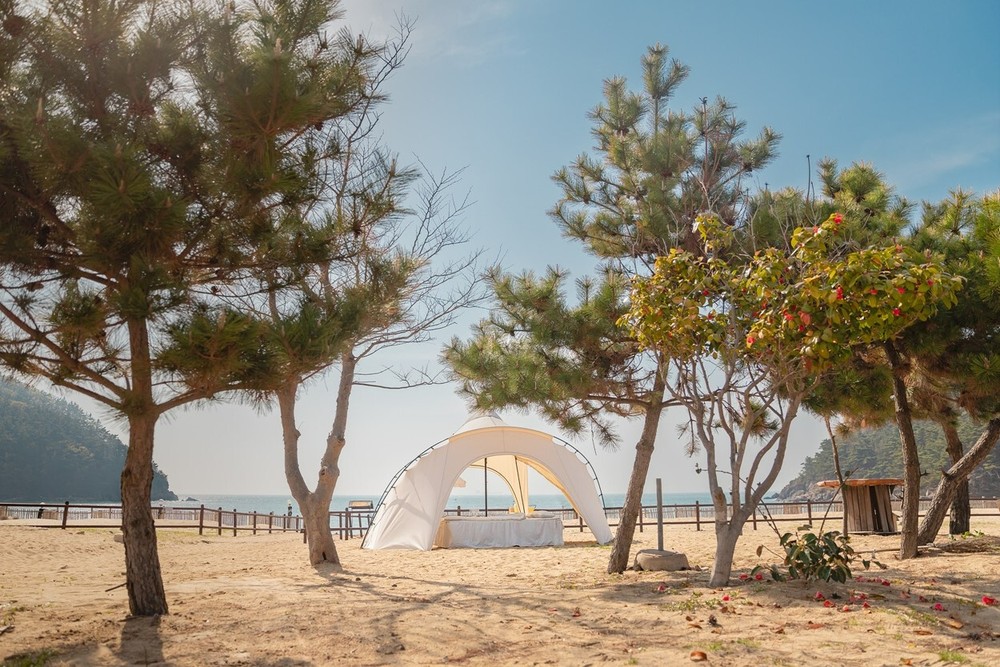 캠핑사이트 (선착순 현장배정)