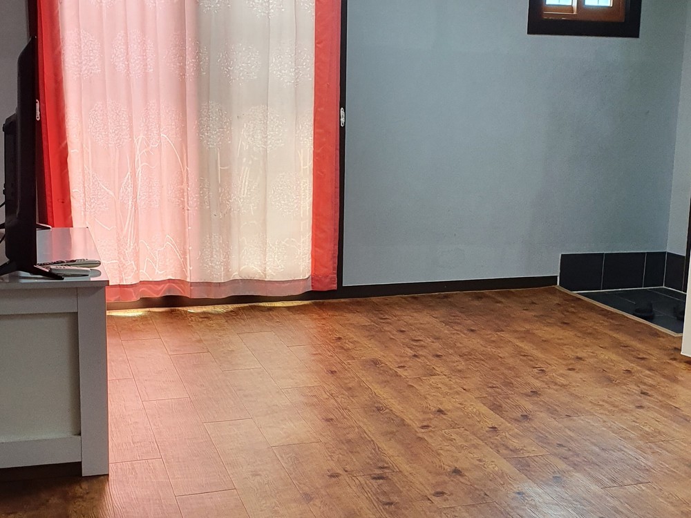민들레