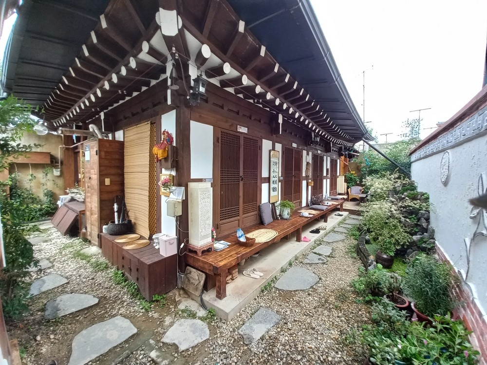 달맞이꽃