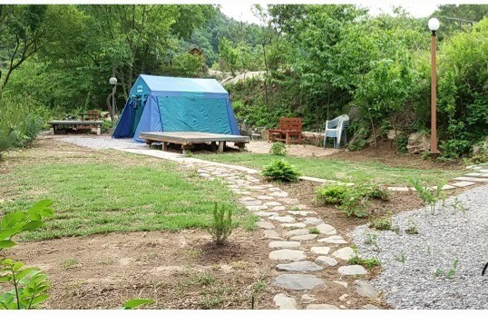 캠핑 야영장1 (객실 아닌 텐트를 치는 곳)