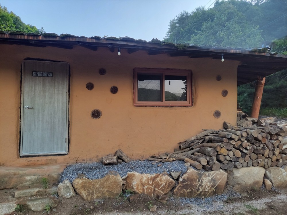 들국화방