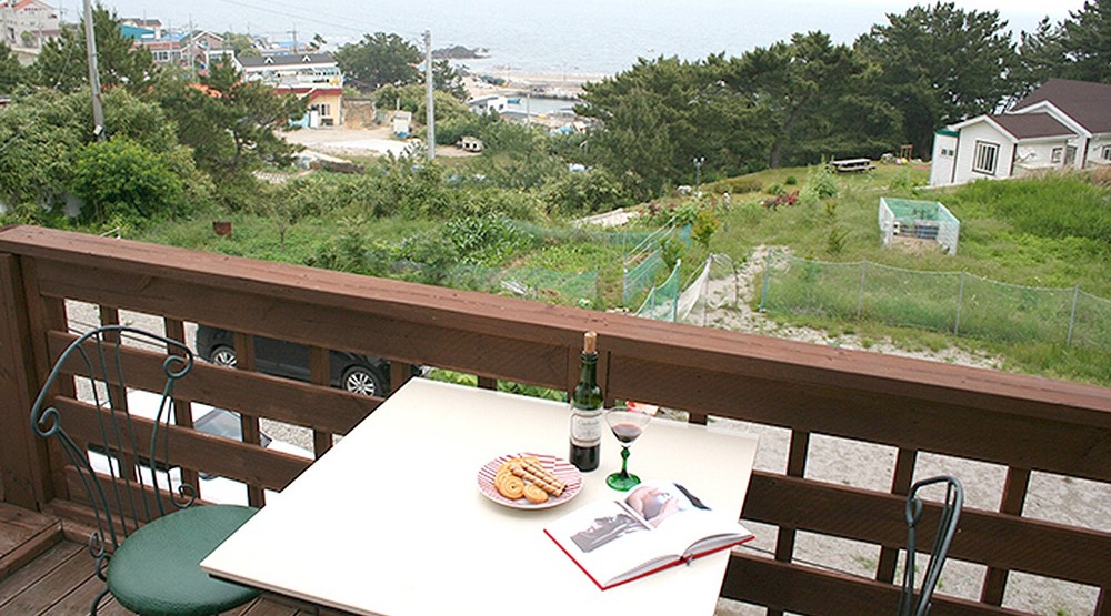 바이올렛
