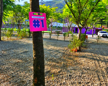 캠핑장사이트1