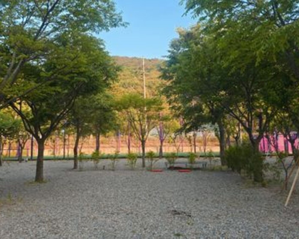 캠핑장사이트4