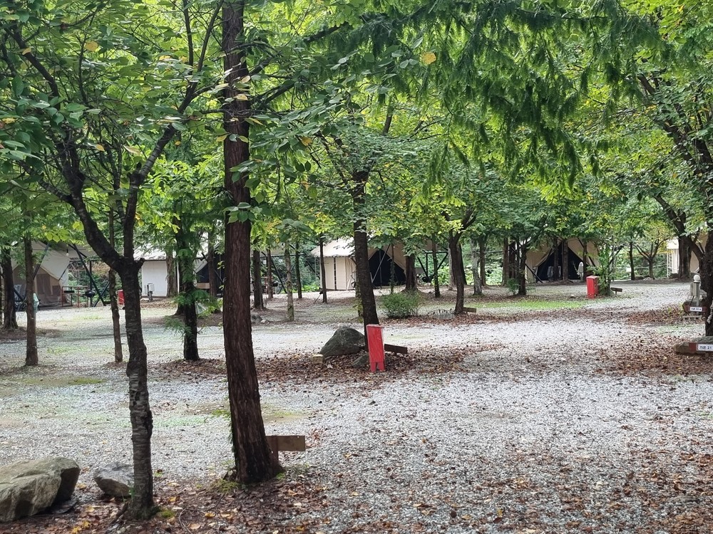 오토캠핑장(랜덤배정)