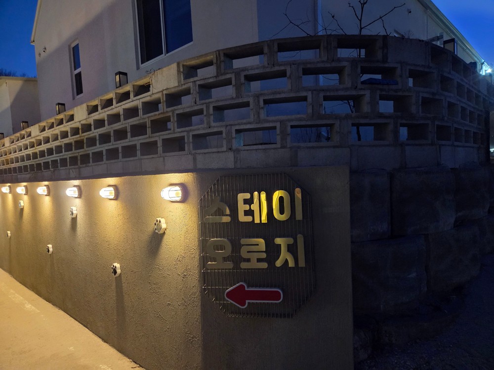 오로지