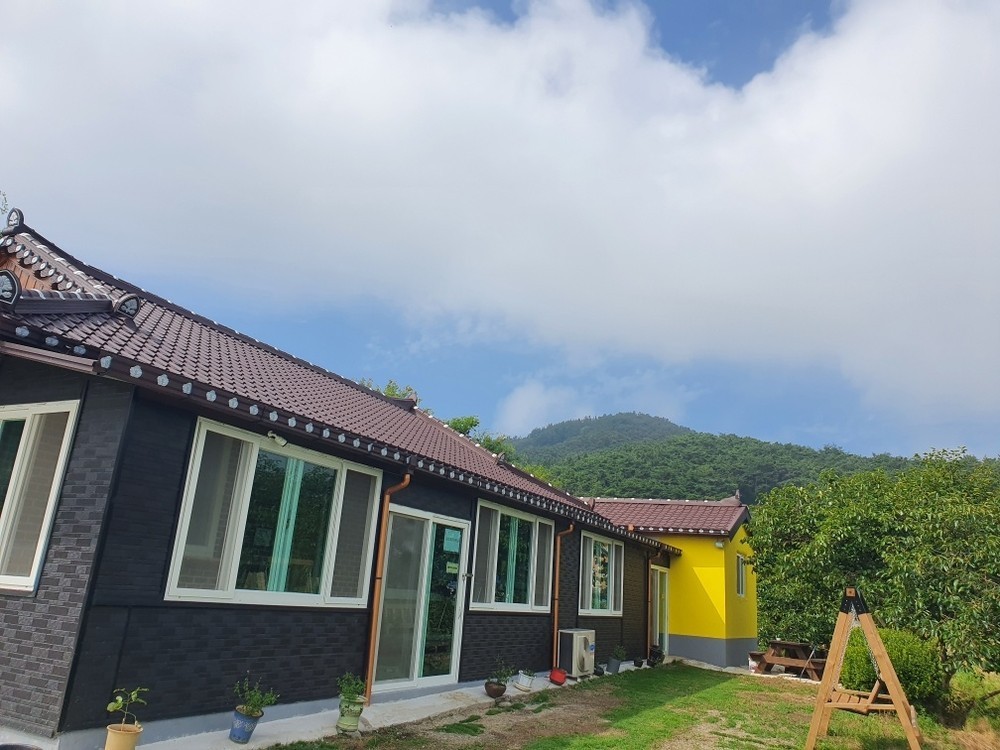 도미토리 남자