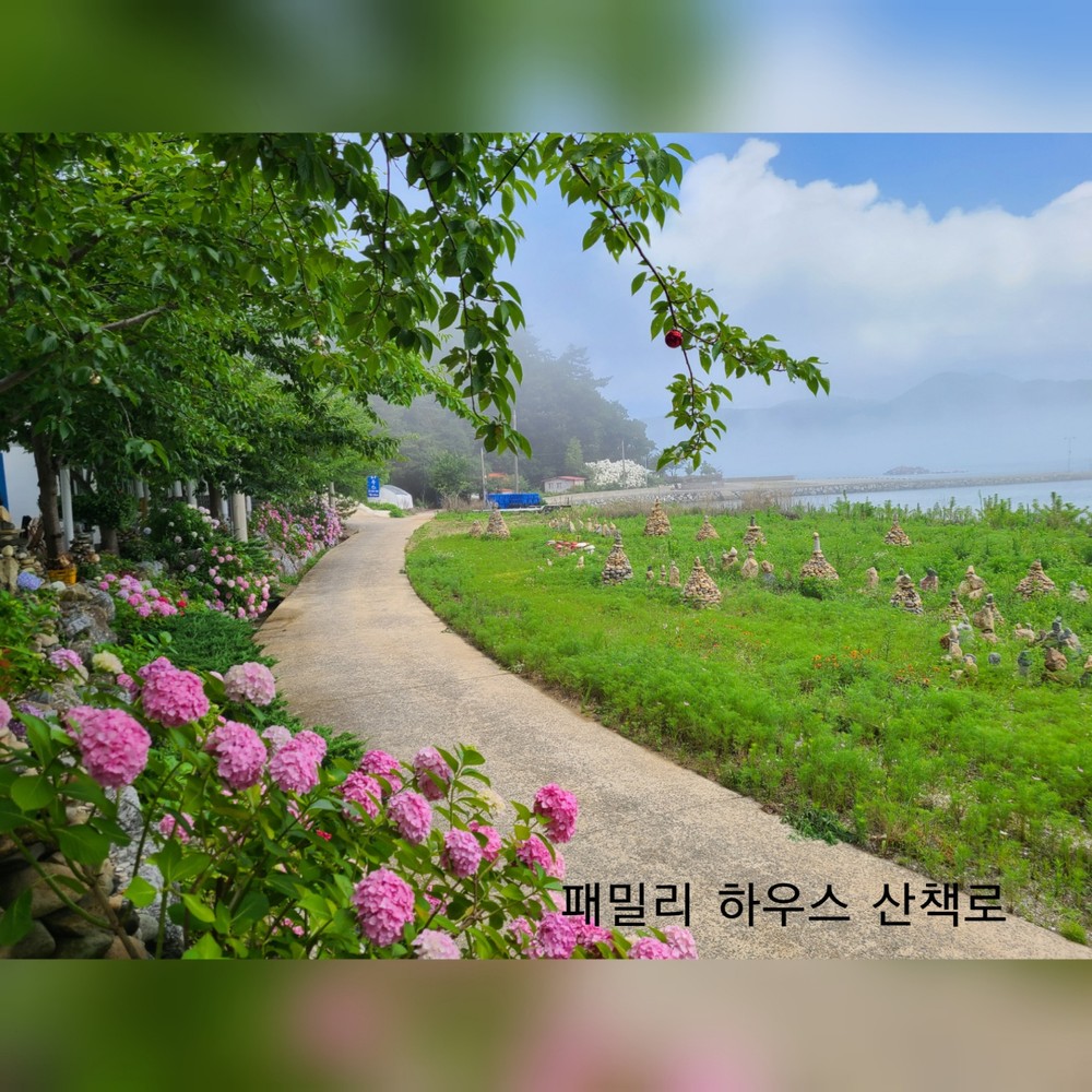 D3 (오션뷰)