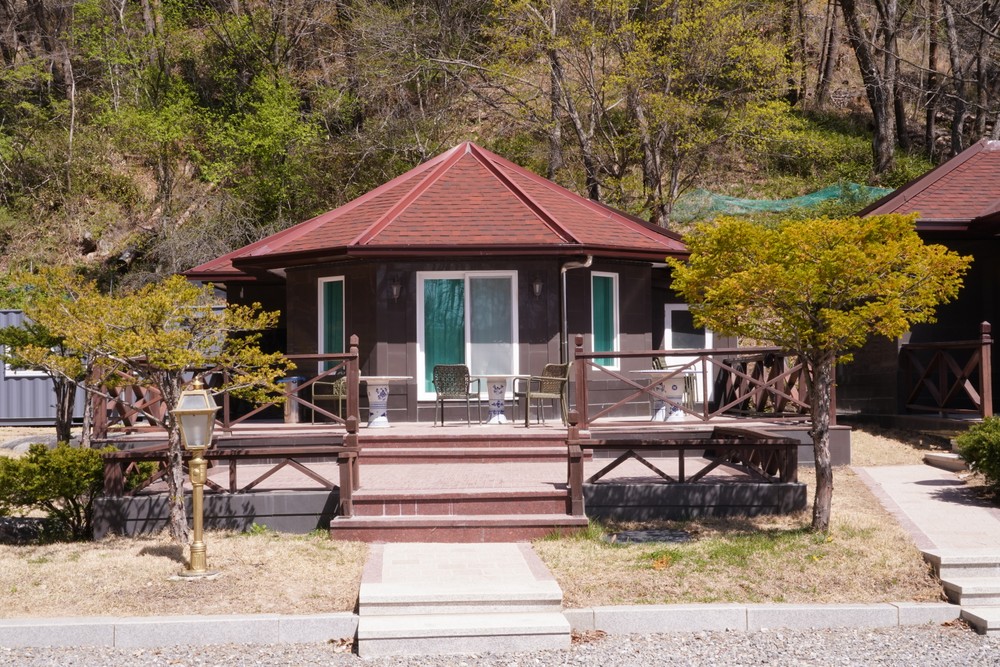 11호