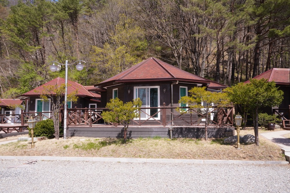 12호