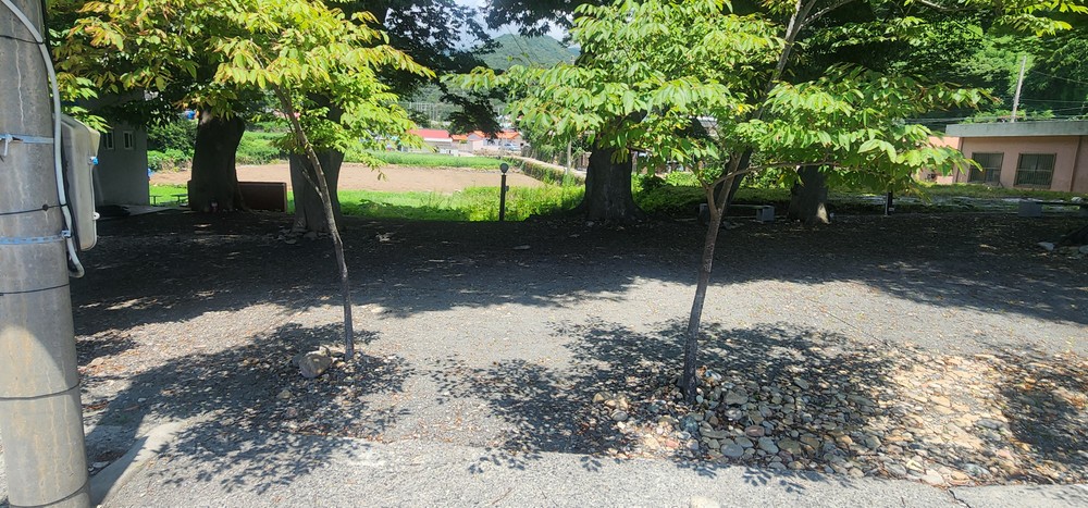 천하7