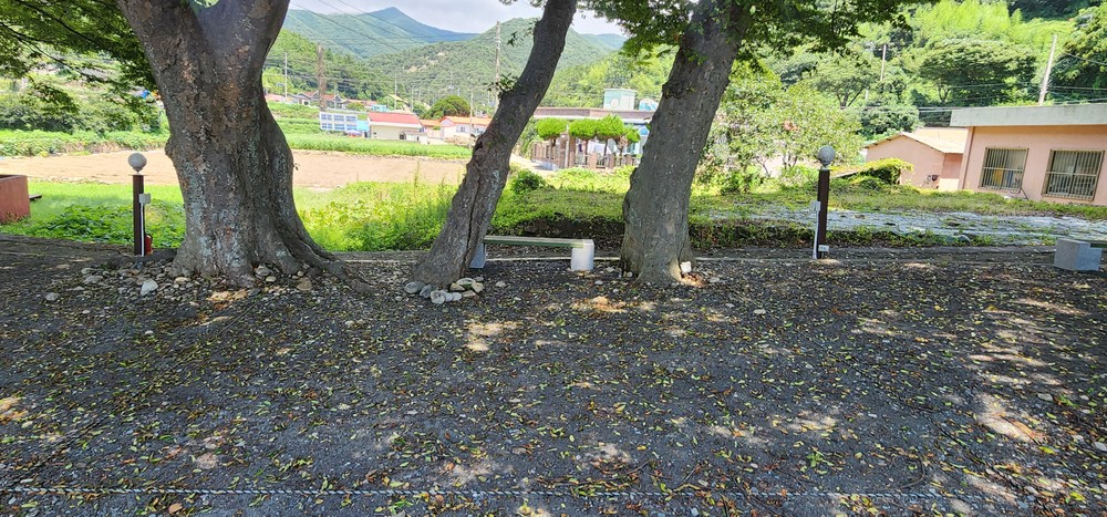 천하11