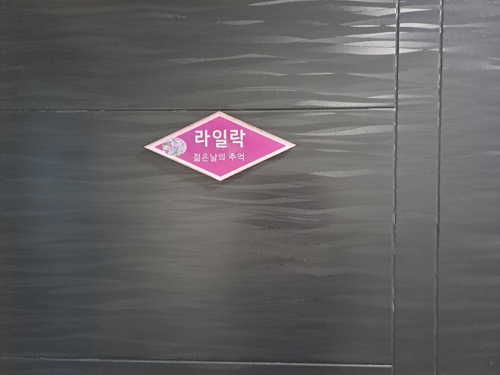 라일락
