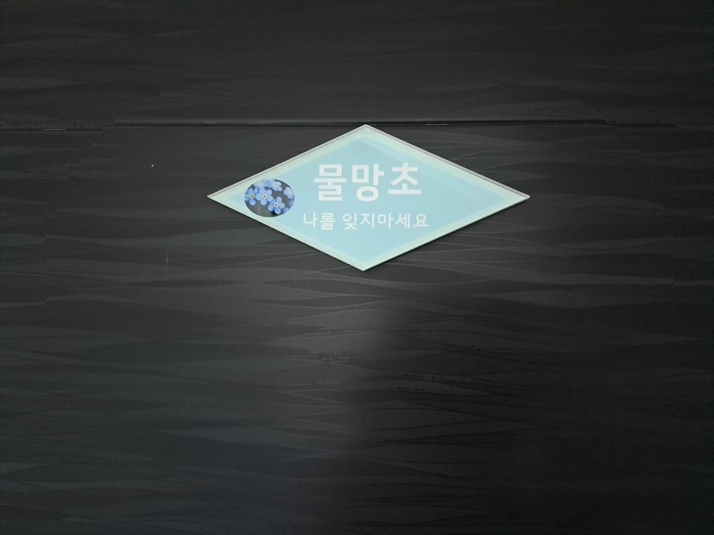 물망초