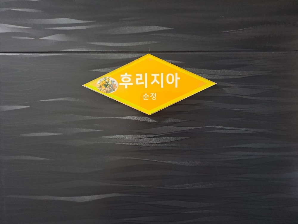 후리지아