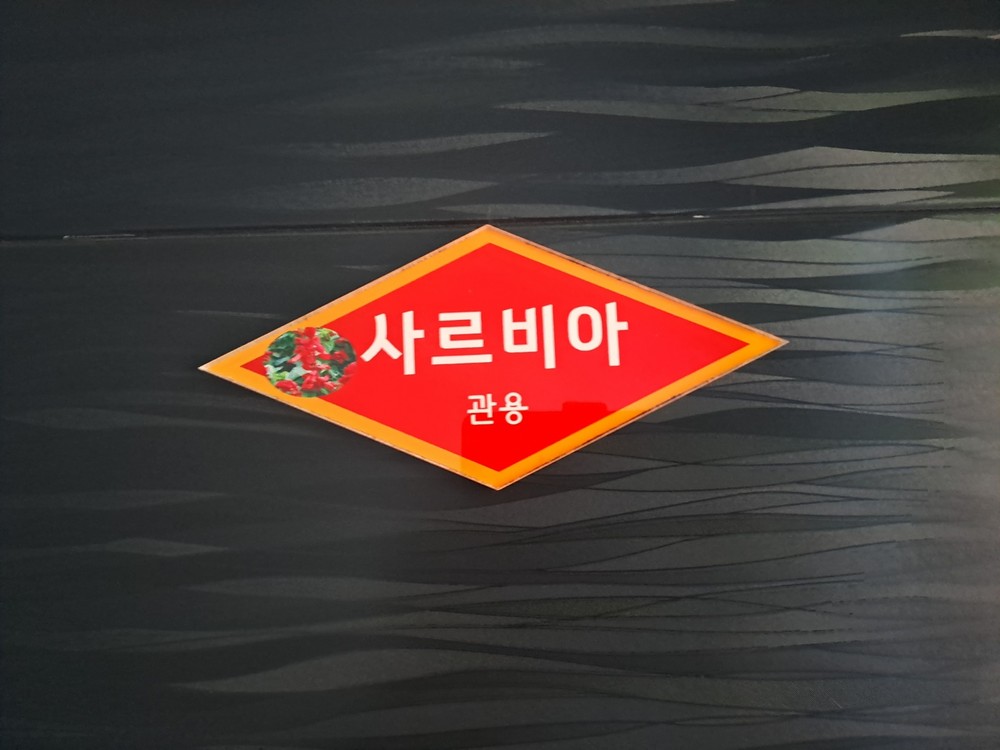 사루비아