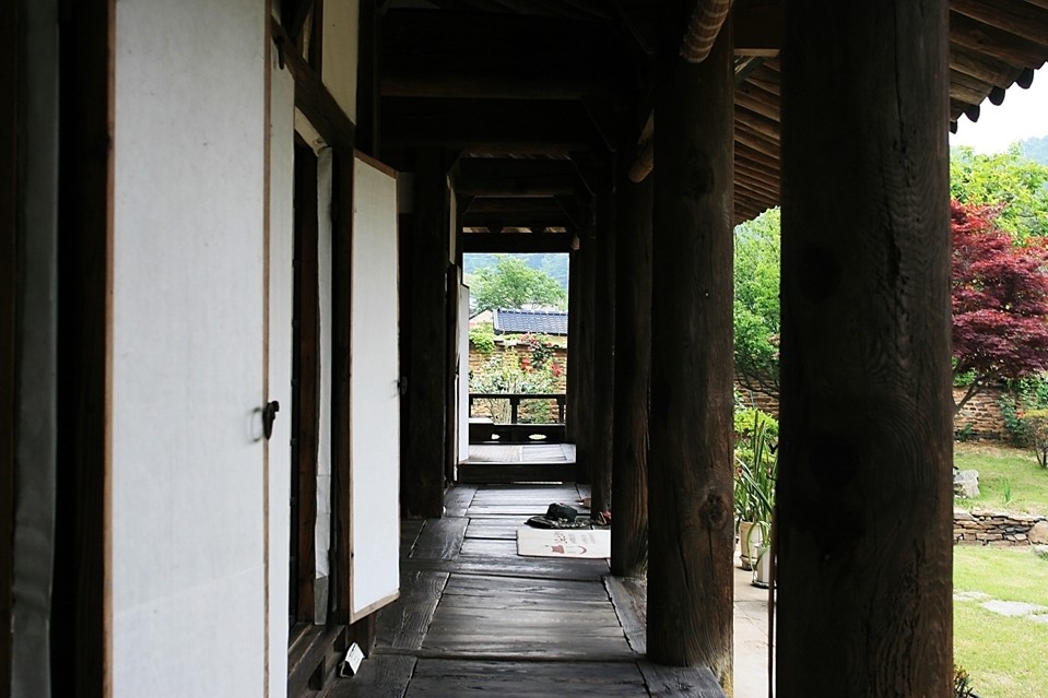 매실