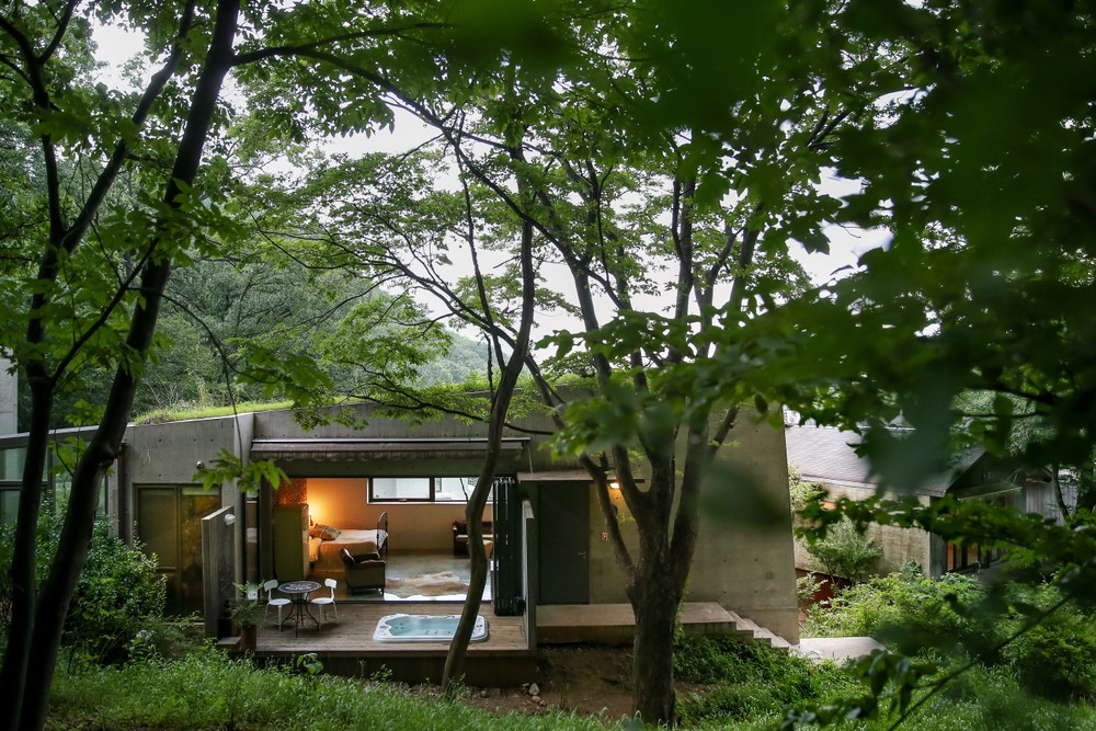 H2새들브라운(SB)-호텔형