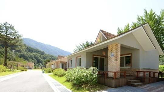 -1동- 금강초롱(19평)